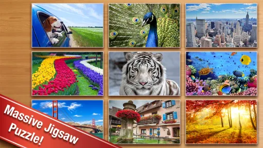 Jigsaw Puzzle, screenshot 2