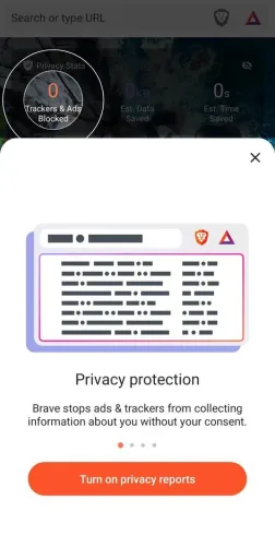 Brave Browser, screenshot 3