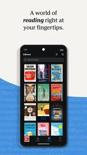 Kindle, screenshot 1