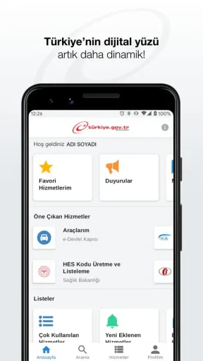 e-Devlet, screenshot 2